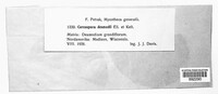 Image Associated With the Occurence